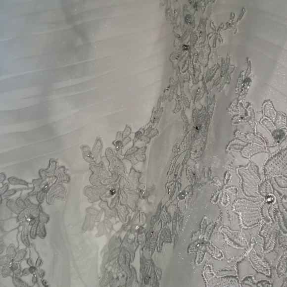 Wedding Dress - Picture 5 of 5